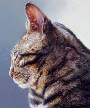 Schilderijen van de kunstschilder Adriana van Zoest bekijken en kopen bij galerie Wildevuur