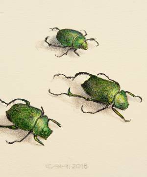 Schilderijen van de kunstschilder Chris Herenius bekijken en kopen bij galerie Wildevuur