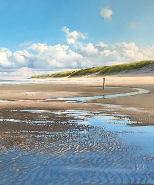 Schilderijen van de kunstschilder Janhendrik Dolsma bekijken en kopen bij galerie Wildevuur