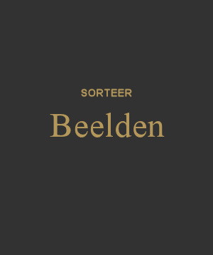 Bekijk alle kunstenaars waarvan u online beelden kunt kopen bij galerie Wildevuur