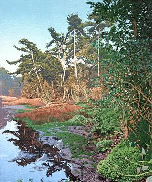 Houtsneden van de kunstenaar Siemen Dijkstra bekijken en kopen bij galerie Wildevuur