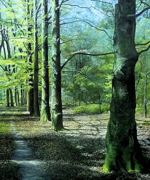 Schilderijen van de kunstschilder Wout Wachtmeester bekijken en kopen bij galerie Wildevuur