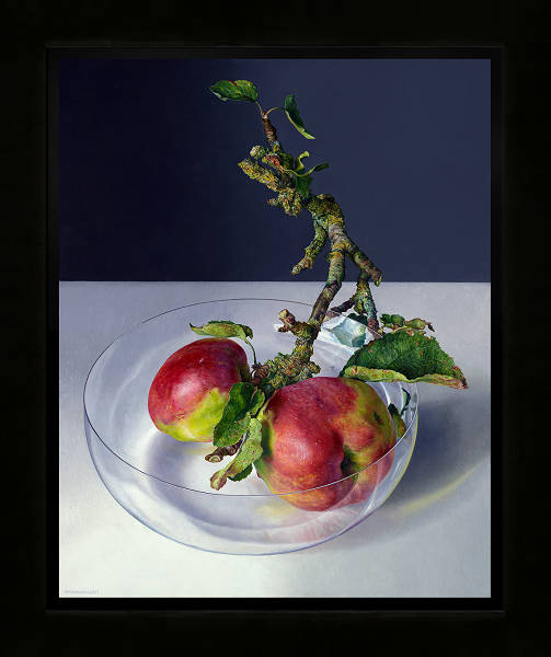 Wilde appels in glazen kom