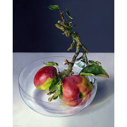 Wilde appels in glazen kom | stilleven schilderij van Adriana van Zoest koopt u nu online! ✓Hoogste kwaliteit ✓Veilig betalen ✓Gratis verzending