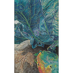 Bloemkoolblad | stilleven schilderij in pastel van Adriana van Zoest koopt u nu online! ✓Hoogste kwaliteit ✓Veilig betalen ✓Gratis verzending