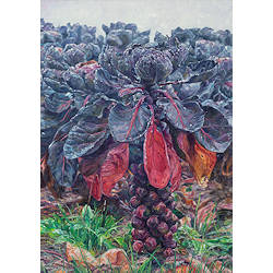 Rode spruit | stilleven schilderij in olieverf van Adriana van Zoest koopt u nu online! ✓Hoogste kwaliteit & service ✓Veilig betalen ✓Gratis verzending