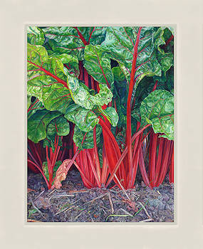 Snijbiet | stilleven schilderij in olieverf van Adriana van Zoest koopt u nu online! ✓Hoogste kwaliteit & service ✓Veilig betalen ✓Gratis verzending