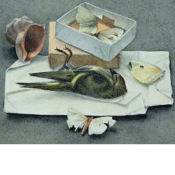 Verstild | stilleven schilderij in aquarel van Chris Herenius koopt u nu online! ✓Hoogste kwaliteit & service ✓Veilig betalen ✓Gratis verzending