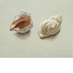 Souvenir III | stilleven schilderij in acrylverf van Chris Herenius koopt u nu online! ✓Hoogste kwaliteit & service ✓Veilig betalen ✓Gratis verzending