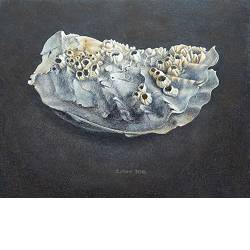 Souvenir I | stilleven schilderij in acrylverf van Chris Herenius koopt u nu online! ✓Hoogste kwaliteit & service ✓Veilig betalen ✓Gratis verzending