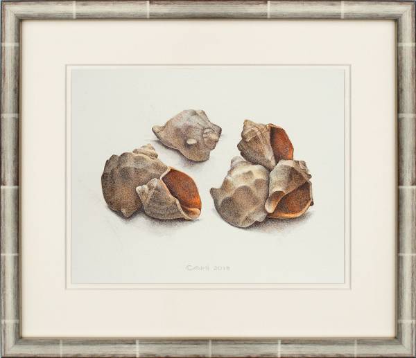 Compositie met schelpen