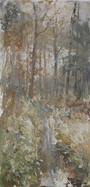 Bos bij Jacobspad II