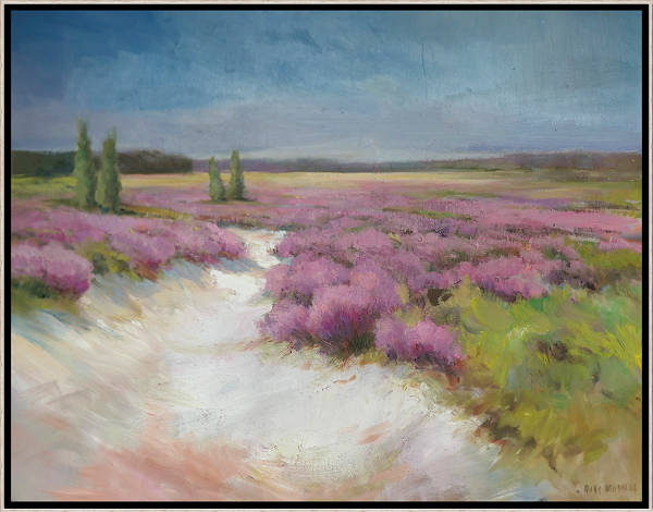 Bloeiende heide met stuifzand