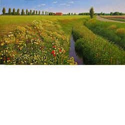 Akkerrand | landschap schilderij in olieverf van Hans Parlevliet koopt u nu online! ✓Hoogste kwaliteit & service ✓Veilig betalen ✓Gratis verzending