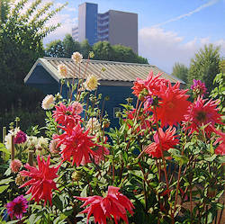 Het volkstuintje | landschap schilderij van Hans Parlevliet koopt u nu online! ✓Hoogste kwaliteit & service ✓Veilig betalen ✓Gratis verzending