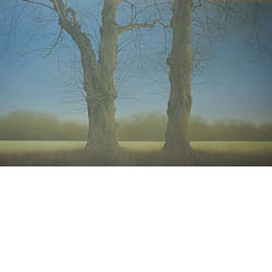 Bomen | landschap schilderij in olieverf van Johan Abeling koopt u nu online! ✓Hoogste kwaliteit & service ✓Veilig betalen ✓Gratis verzending