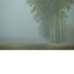 Nevel | landschap schilderij in acrylverf van Johan Abeling koopt u nu online! ✓Hoogste kwaliteit & service ✓Veilig betalen ✓Gratis verzending