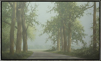 Zomer | schilderij van een landschap in olieverf van Johan Abeling koopt u nu online! ✓Hoogste kwaliteit ✓Veilig betalen ✓Gratis verzending