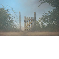 Open | schilderij van een landschap in olieverf van Johan Abeling koopt u nu online! ✓Hoogste kwaliteit ✓Veilig betalen ✓Gratis verzending