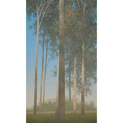 Populieren | schilderij van een landschap in olieverf van Johan Abeling koopt u nu online! ✓Hoogste kwaliteit ✓Veilig betalen ✓Gratis verzending