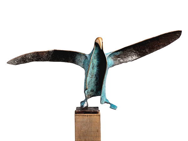 Albatros odyssee 1: De reis begint