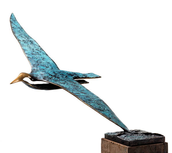 Albatros odyssee 2: Zwervend over de Zuidzee