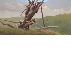 Oude kastanje | landschap schilderij van Peter Durieux koopt u nu online! ✓Hoogste kwaliteit & service ✓Veilig betalen ✓Gratis verzending