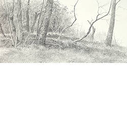 Bosrand | landschap schilderij in potlood van Peter Durieux koopt u nu online! ✓Hoogste kwaliteit & service ✓Veilig betalen ✓Gratis verzending