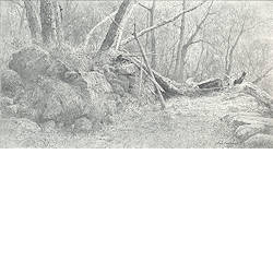 Sentier barré | landschap schilderij in potlood van Peter Durieux koopt u nu online! ✓Hoogste kwaliteit & service ✓Veilig betalen ✓Gratis verzending