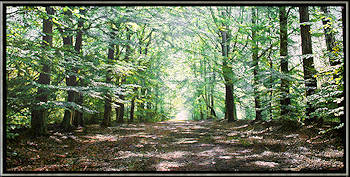 De Essentie van Verbinding | landschap schilderij van Wout Wachtmeester koopt u nu online! ✓Hoogste kwaliteit ✓Veilig betalen ✓Gratis verzending