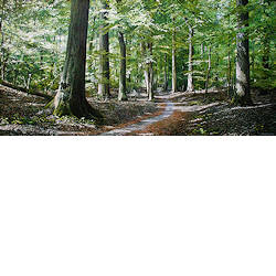 Verwachtingsvol Begin | landschap schilderij van Wout Wachtmeester koopt u nu online! ✓Hoogste kwaliteit ✓Veilig betalen ✓Gratis verzending