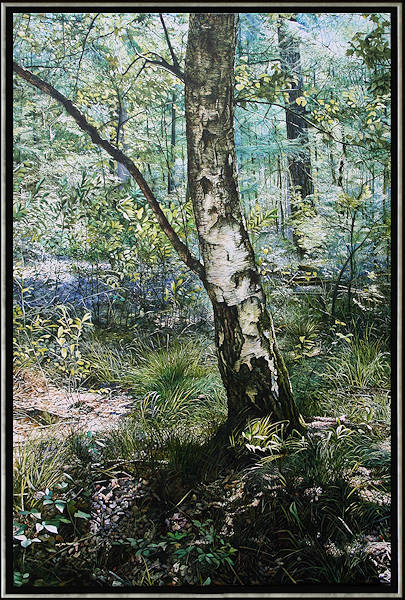 Uitzonderlijke Intimiteit van het Alledaagse