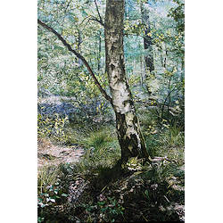 Uitzonderlijke Intimiteit van het Alledaagse | landschap schilderij van Wout Wachtmeester koopt u nu online! ✓Veilig betalen ✓Gratis verzending