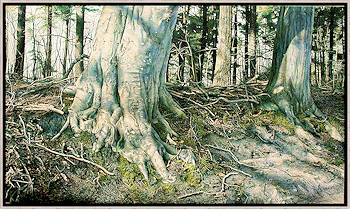 Verhulde Herinnering | landschap schilderij van Wout Wachtmeester koopt u nu online! ✓Hoogste kwaliteit ✓Veilig betalen ✓Gratis verzending