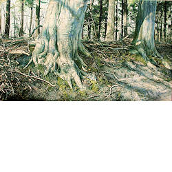 Verhulde Herinnering | landschap schilderij van Wout Wachtmeester koopt u nu online! ✓Hoogste kwaliteit ✓Veilig betalen ✓Gratis verzending