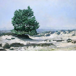 Losse Omtrekken | landschap schilderij van Wout Wachtmeester koopt u nu online! ✓Hoogste kwaliteit ✓Veilig betalen ✓Gratis verzending